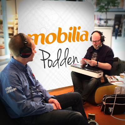 Trädgård och utomhushåll