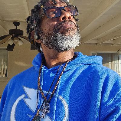 THE P.A.L.L.E. EXPERIMENT #8