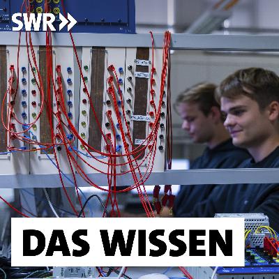 Berufsschulen im Umbruch – Digital und praxisnah Berufsschulen im Umbruch – Digital und praxisnah
