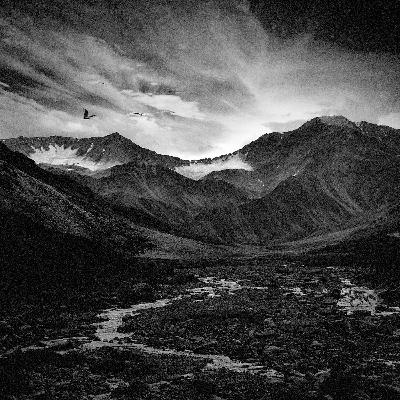 The Arctic Wildlife Refuge The Arctic Wildlife Refuge