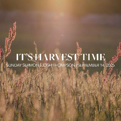 It's Harvest Time It's Harvest Time