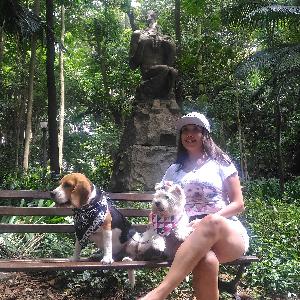 DCA #004 - Aumigos Sherlock e Lakshmi / @sherlock_e_lakshmi
