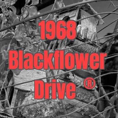 Trailer: Episode 3 - The Talk Show Circuit