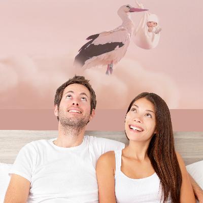 Toxoplasmosi(Parte3): Cibo, gli accorgimenti#Preconcepimento