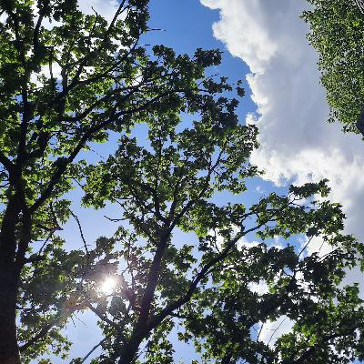 Meditation für deine Chakren Meditation für deine Chakren