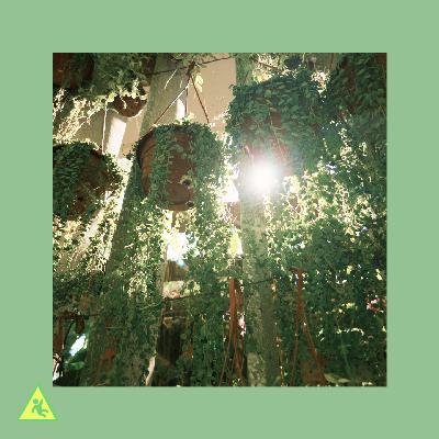 067 人生不是变好或变坏，它只是展开