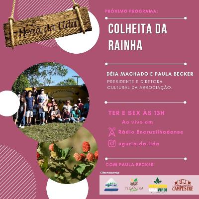 Colheita da Rainha Colheita da Rainha