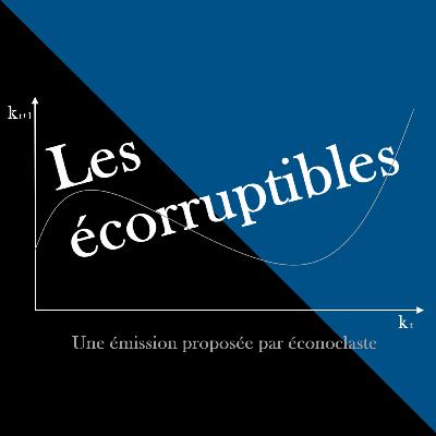 Épisode 7. Entretien avec Étienne Wasmer