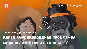 Американоиды Американоиды