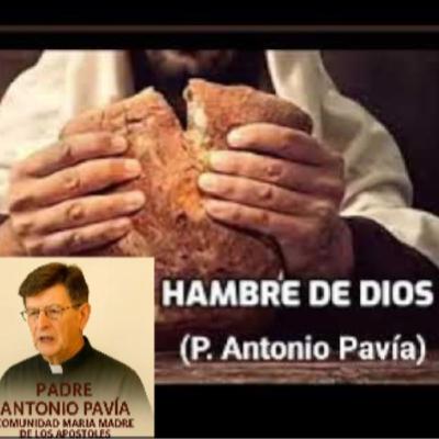 Evangelio del I Domingo de Cuaresma (Mt 4,1-11)
 22 de Febrero de 2026
Homilia Padre Antonio Pavia