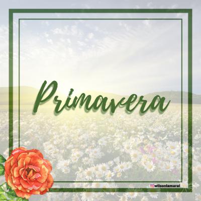 Primavera