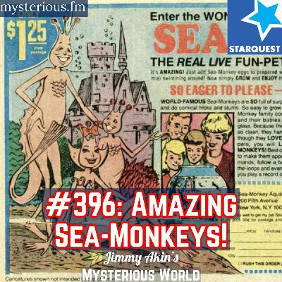 The Amazing Sea-Monkeys! The Amazing Sea-Monkeys!