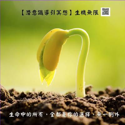 【潛意識導引冥想】生機無限