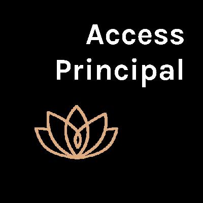 Chief Executive Officer Ryan Drew Donaldson