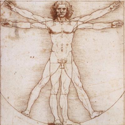 PARTES BÁSICAS del CUERPO HUMANO