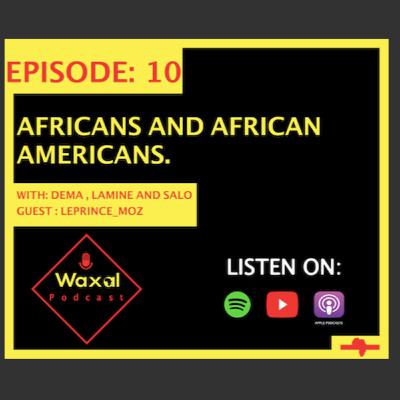 Episode 10 : Africans and African Americans Episode 10 : Africans and African Americans