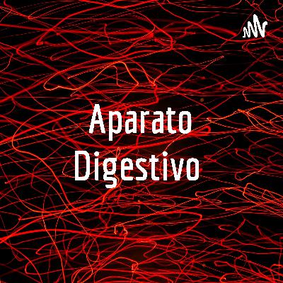 El aparato digestivo