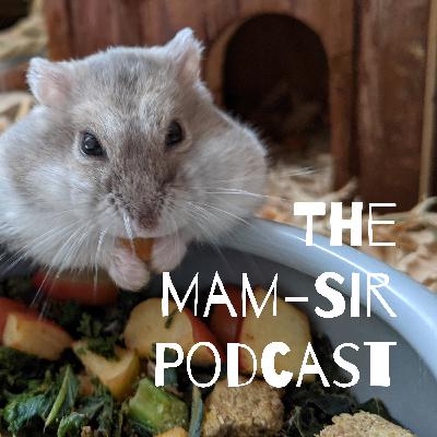 Episode 6: Christmas Special