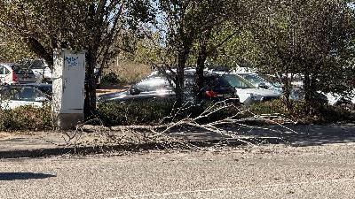 Enguany viurem un hivern atípic