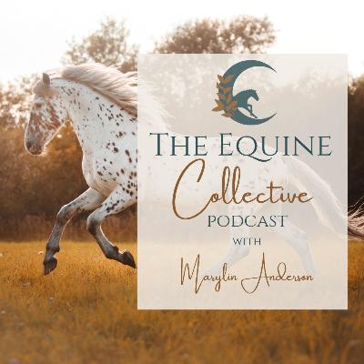 EP3 - The Equine Collective - A Story of Community