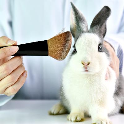 Colombia el primer país en prohibir las pruebas cosméticas en animales