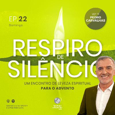Dia 22: Domingo IV de Advento