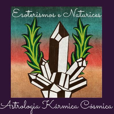 33 - Astrologia Karmica Cosmica