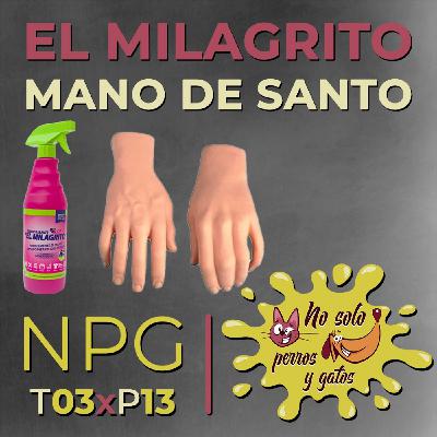 No Solo Perros y Gatos T03xE13: El Milagrito, mano de santo