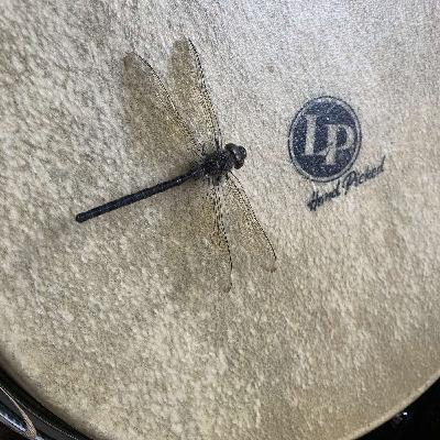 In the Midst of Chaos, Finding Calm In the Midst of Chaos, Finding Calm