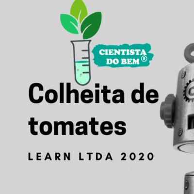 O número de horas trabalhadas importa? A colheita de tomates