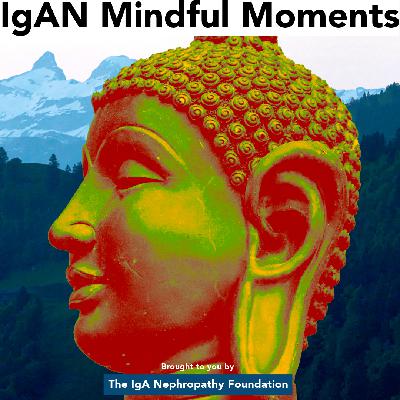 IgAN Mindful Moments Introduction to Meditation IgAN Mindful Moments Introduction to Meditation