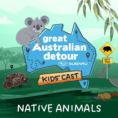 Native Animals Native Animals