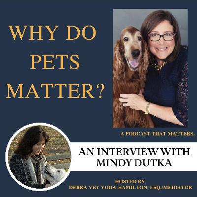 Interview with Mindy Dutka - Helping communities in Suriname live in harmony with their pets Interview with Mindy Dutka - Helping communities in Suriname live in harmony with their pets