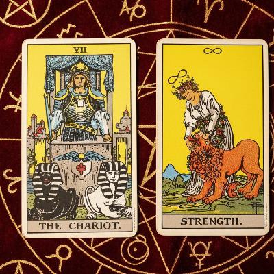 Ep486 - Diane's Tarot Diary: 我的塔羅日記🌻2026流年牌-戰車~力量