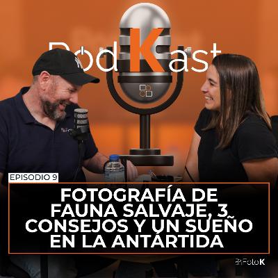 Fotografía de fauna salvaje, 3 consejos y un sueño en la Antártida con Naia Pascual – Episodio 9