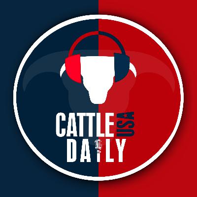 187: Winter Prep for Cattle: 9 Steps to Save Stress Later