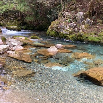 Ep.012 マグロの漬け丼をめぐる冒険 Ep.012 マグロの漬け丼をめぐる冒険