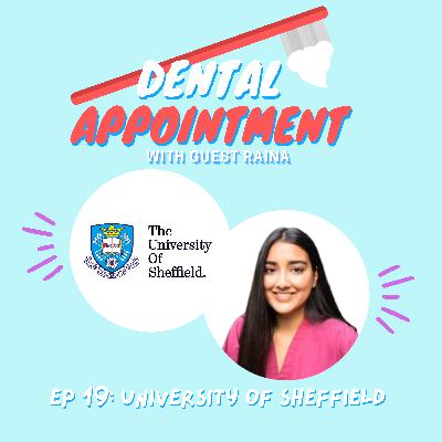 19th Dental Appointment: University of Sheffield