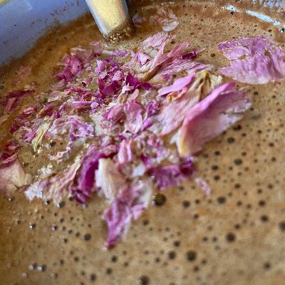 2.12 What is a Master Plant Dieta??