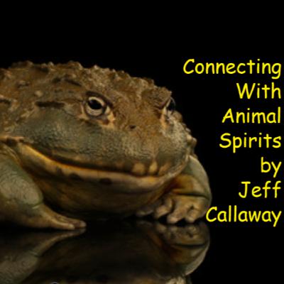 FROG SPIRIT GUIDED SHAMANIC JOURNEY