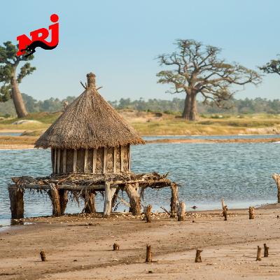 Sénégal : Explication du Laamb, la lutte sénégalaise