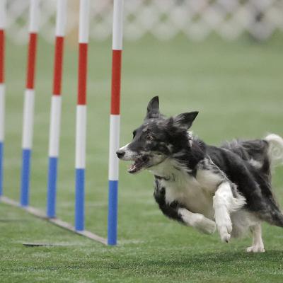 Episode 5 - UKI Invitational & World Team Tryouts