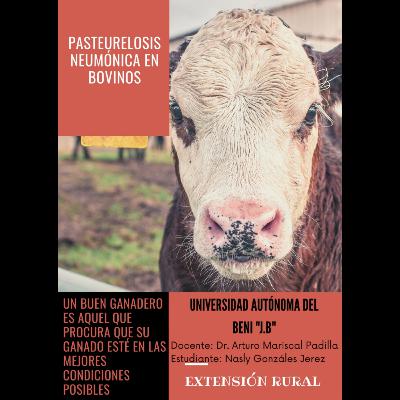 Pasteurelosis Neumónica en Bovinos 🐮🧬💛