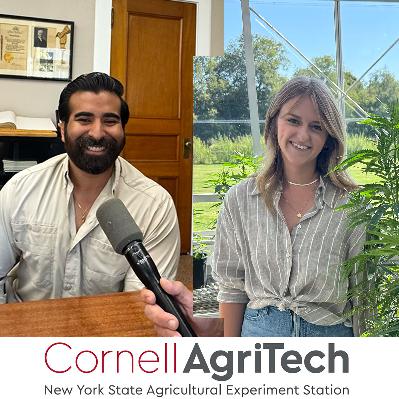 Fighting Powdery Mildew With UV Light & Breeding Hemp for Better Grain and Fiber