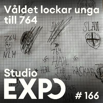166. Våldet lockar unga till 764 166. Våldet lockar unga till 764
