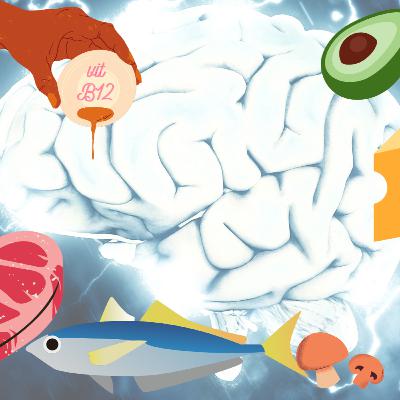 Vitamin B12 could protect the Brain