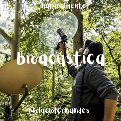 Bioacústica Bioacústica