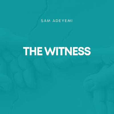 The Witness The Witness