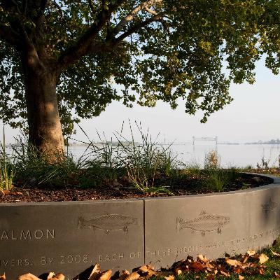 Rabbits and Rivers: Historians and Rabbit Holes