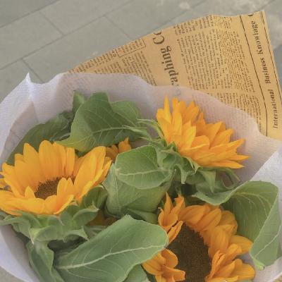 EP2: 如果最偉大的愛,不包括擁有🎄 EP2: 如果最偉大的愛,不包括擁有🎄